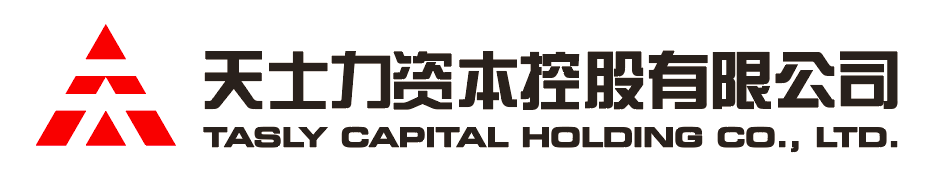 大红鹰资本控股有限公司